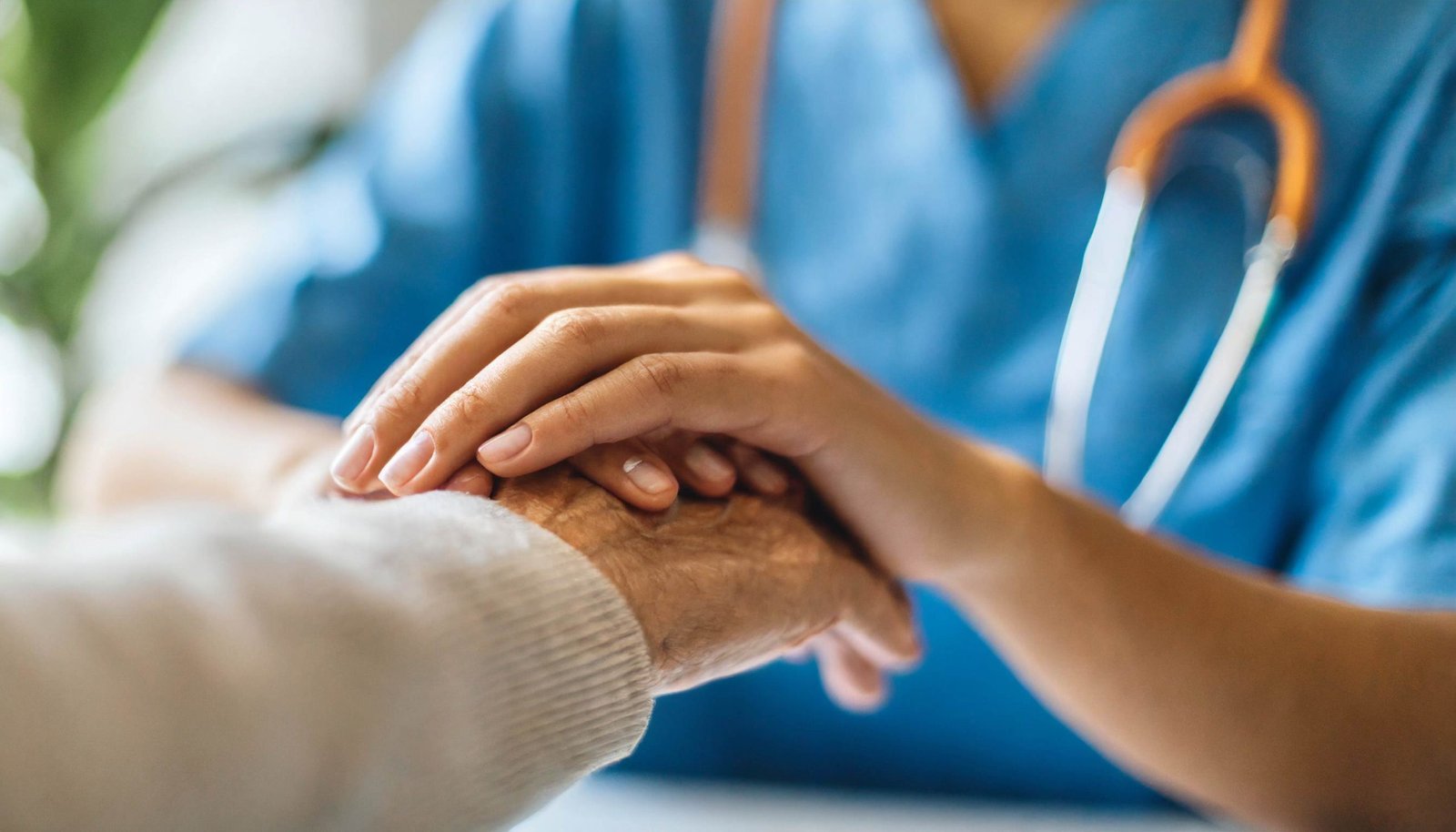 SERVICIO SANITARIO PARA RESIDENTES EXTRA UE